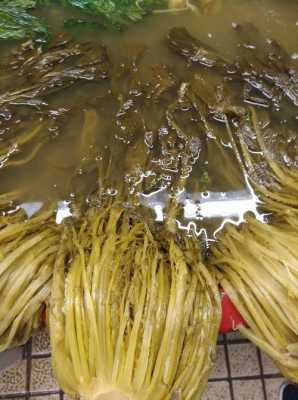 哪里菜咸（哪里菜最咸）-第1张图片-厨房小当家