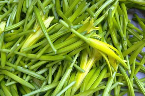 黄花菜是哪里的(黄花菜的主要产地的哪里)-第3张图片-厨房小当家 黄花菜是哪里的(黄花菜的主要产地的哪里)-第3张图片-厨房小当家
