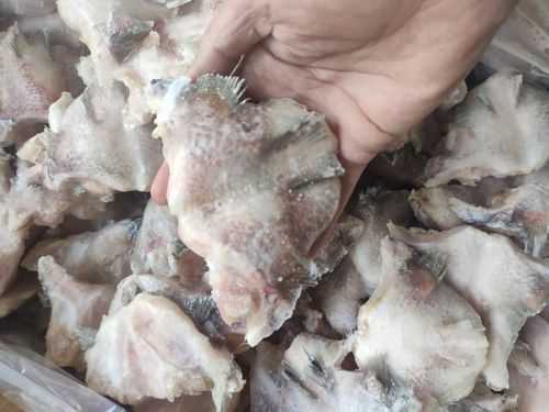 冰鱼是哪里的(饥荒联机版冰雕鱼怎么钓)-第3张图片-厨房小当家 冰鱼是哪里的(饥荒联机版冰雕鱼怎么钓)-第3张图片-厨房小当家