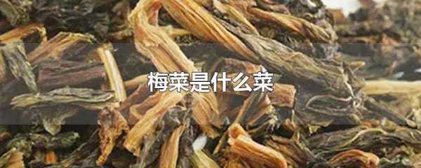 梅菜产于哪里,梅菜是哪里的菜系-第2张图片-厨房小当家 梅菜产于哪里,梅菜是哪里的菜系-第2张图片-厨房小当家