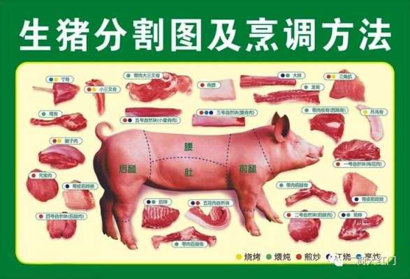 猪哪里最好吃(猪的哪个部位好吃排名)-第3张图片-厨房小当家 猪哪里最好吃(猪的哪个部位好吃排名)-第3张图片-厨房小当家
