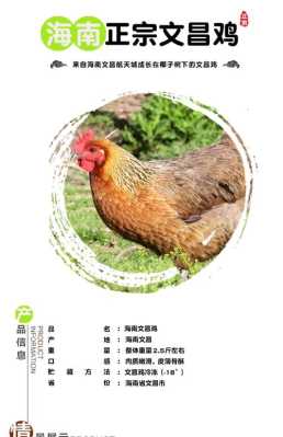 文昌鸡是哪里的(文昌鸡是哪里的特产)-第1张图片-厨房小当家 文昌鸡是哪里的(文昌鸡是哪里的特产)-第1张图片-厨房小当家
