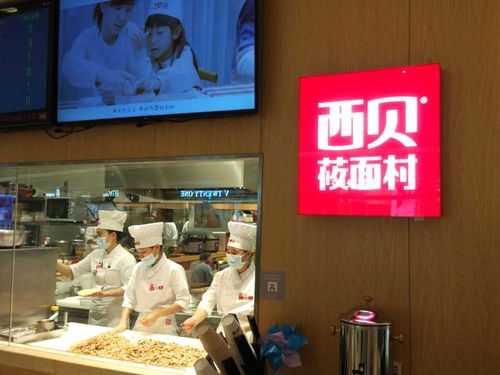 西贝筱面村怎么样(西贝莜面村是做什么的)-第3张图片-厨房小当家 西贝筱面村怎么样(西贝莜面村是做什么的)-第3张图片-厨房小当家