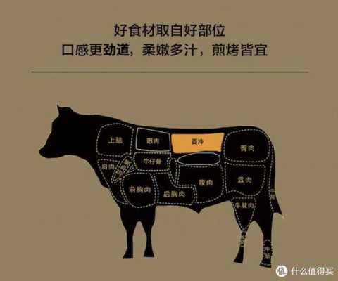 西冷在哪里(西冷在哪里?)-第1张图片-厨房小当家 西冷在哪里(西冷在哪里?)-第1张图片-厨房小当家