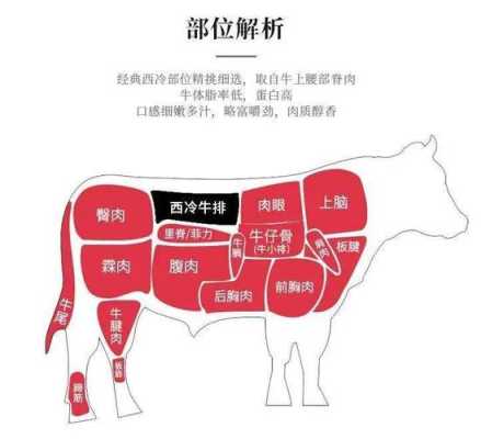 西冷在哪里(西冷在哪里?)-第2张图片-厨房小当家 西冷在哪里(西冷在哪里?)-第2张图片-厨房小当家