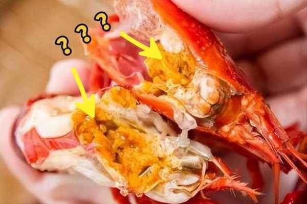 虾黄是虾的哪里(虾黄是什么)-第2张图片-厨房小当家 虾黄是虾的哪里(虾黄是什么)-第2张图片-厨房小当家