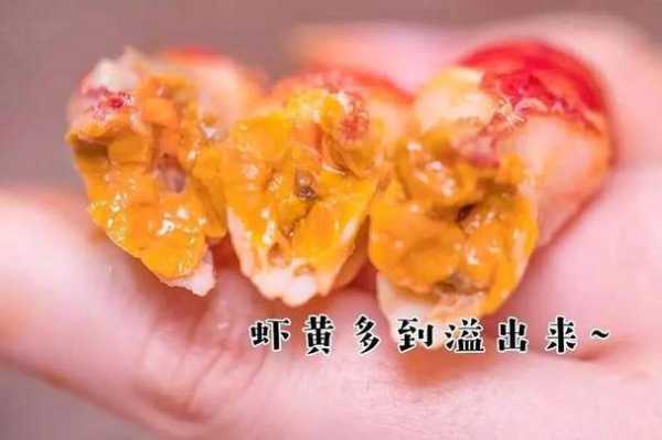 虾黄是虾的哪里(虾黄是什么)-第3张图片-厨房小当家 虾黄是虾的哪里(虾黄是什么)-第3张图片-厨房小当家