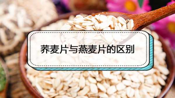 燕麦片是燕麦哪里(燕麦片是燕麦哪里来的)-第1张图片-厨房小当家 燕麦片是燕麦哪里(燕麦片是燕麦哪里来的)-第1张图片-厨房小当家