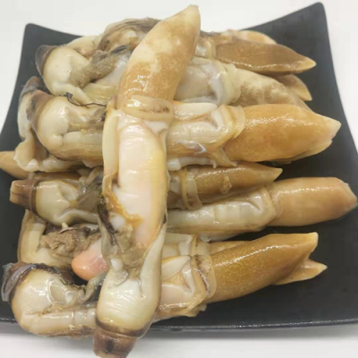蛏子哪里有(蛏子哪里有卖)-第2张图片-厨房小当家 蛏子哪里有(蛏子哪里有卖)-第2张图片-厨房小当家