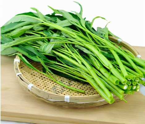 空心菜 是哪里的(空心菜是哪里的菜)-第2张图片-厨房小当家 空心菜 是哪里的(空心菜是哪里的菜)-第2张图片-厨房小当家