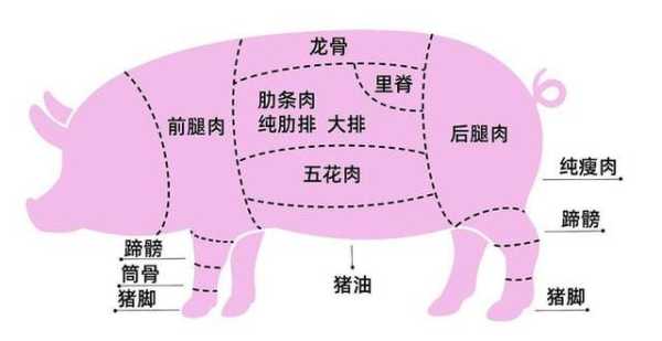 猪的哪里能吃(猪那里能吃)-第1张图片-厨房小当家 猪的哪里能吃(猪那里能吃)-第1张图片-厨房小当家