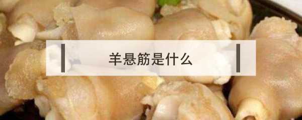 羊的哪里可以吃(羊的哪里吃了最补?)-第2张图片-厨房小当家 羊的哪里可以吃(羊的哪里吃了最补?)-第2张图片-厨房小当家