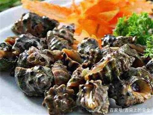 海螺的哪里能吃（南宁吃海螺最多的地方）-第3张图片-厨房小当家