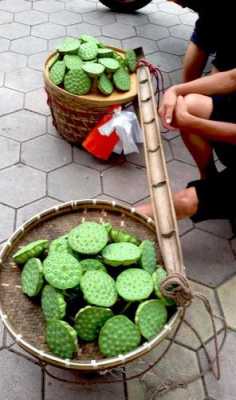 莲蓬哪里有卖(上海有莲蓬卖吗)-第3张图片-厨房小当家 莲蓬哪里有卖(上海有莲蓬卖吗)-第3张图片-厨房小当家