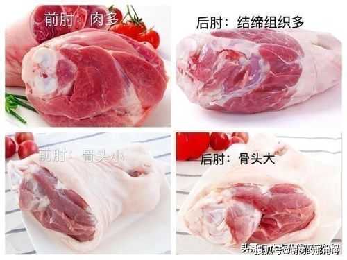猪肘在猪的哪里(肘子是猪哪个位置)-第1张图片-厨房小当家 猪肘在猪的哪里(肘子是猪哪个位置)-第1张图片-厨房小当家