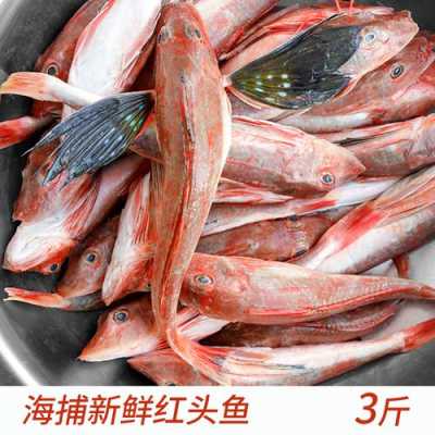 红鱼是哪里的(红头鱼的优点和缺点)-第3张图片-厨房小当家 红鱼是哪里的(红头鱼的优点和缺点)-第3张图片-厨房小当家