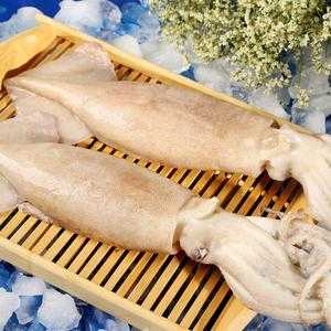 鱿鱼哪里的最好(连云港的鱿鱼和湛江鱿鱼的区别)-第3张图片-厨房小当家 鱿鱼哪里的最好(连云港的鱿鱼和湛江鱿鱼的区别)-第3张图片-厨房小当家