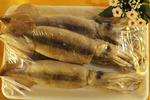 鱿鱼哪里的最好(连云港的鱿鱼和湛江鱿鱼的区别)-第2张图片-厨房小当家 鱿鱼哪里的最好(连云港的鱿鱼和湛江鱿鱼的区别)-第2张图片-厨房小当家