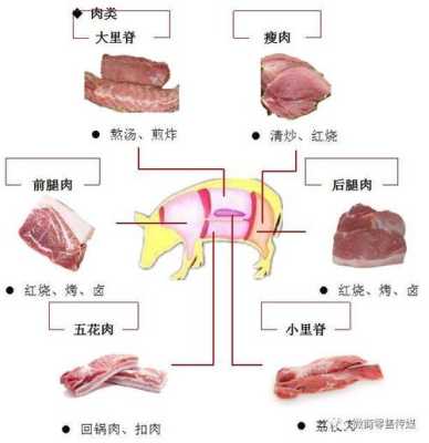猪哪里是瘦肉(猪哪里是瘦肉的)-第3张图片-厨房小当家 猪哪里是瘦肉(猪哪里是瘦肉的)-第3张图片-厨房小当家