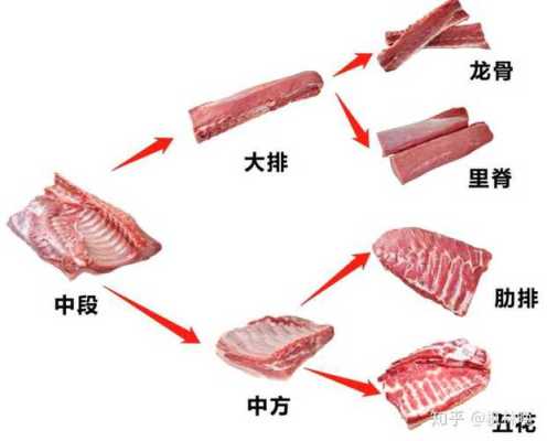 猪哪里是瘦肉(猪哪里是瘦肉的)-第1张图片-厨房小当家 猪哪里是瘦肉(猪哪里是瘦肉的)-第1张图片-厨房小当家