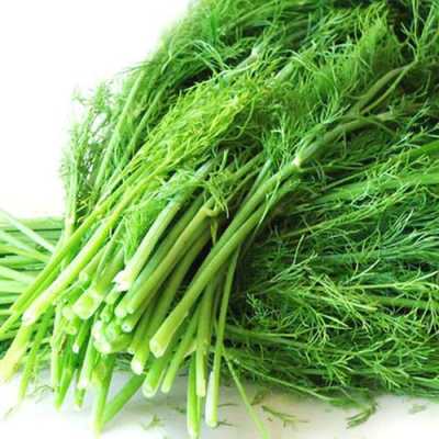 小茴香哪里的产地最好,茴香是哪里的菜系-第1张图片-厨房小当家