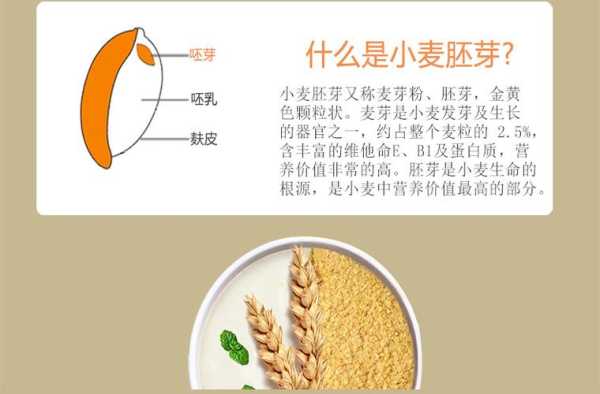 哪里的小麦胚芽最好(哪里的小麦胚芽最好吃)-第1张图片-厨房小当家 哪里的小麦胚芽最好(哪里的小麦胚芽最好吃)-第1张图片-厨房小当家