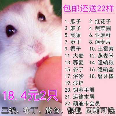 如何辨别布丁、奶茶、银狐是不是纯种的?它们各有什么特点？布丁反色的几率有多大,辨别奶茶怎么样好喝-第1张图片-厨房小当家