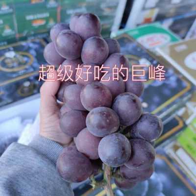 葡萄哪里的好吃（最好吃葡萄排名前十名）-第1张图片-厨房小当家