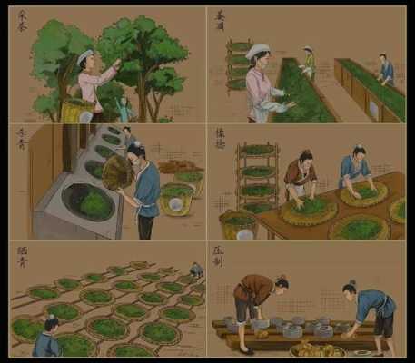 查理茶怎么样(查理九世小说讲那些事和真理)-第2张图片-厨房小当家 查理茶怎么样(查理九世小说讲那些事和真理)-第2张图片-厨房小当家