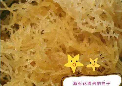 海石花花生油是哪里产的,海石花是哪里的特产-第3张图片-厨房小当家 海石花花生油是哪里产的,海石花是哪里的特产-第3张图片-厨房小当家