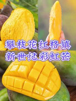 四川攀枝花红玉芒果介绍,攀枝花芒果是哪里特产-第1张图片-厨房小当家 四川攀枝花红玉芒果介绍,攀枝花芒果是哪里特产-第1张图片-厨房小当家