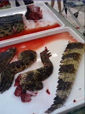 鳄鱼肉吃哪里(鳄鱼肉吃哪里的肉)-第1张图片-厨房小当家 鳄鱼肉吃哪里(鳄鱼肉吃哪里的肉)-第1张图片-厨房小当家