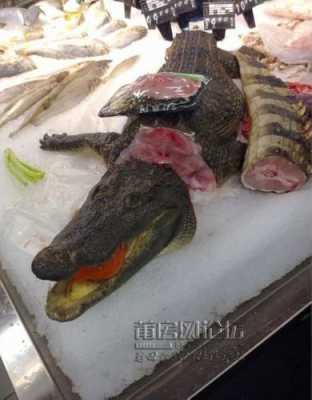 鳄鱼肉吃哪里(鳄鱼肉吃哪里的肉)-第2张图片-厨房小当家 鳄鱼肉吃哪里(鳄鱼肉吃哪里的肉)-第2张图片-厨房小当家
