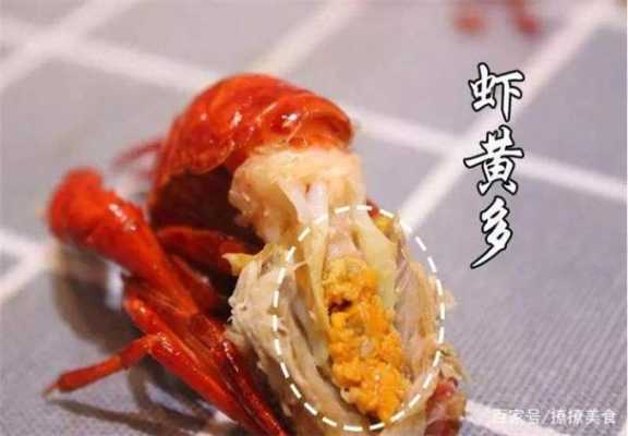 澳洲龙虾头的黄色部分是什么,小龙虾虾黄在哪个部位-第1张图片-厨房小当家 澳洲龙虾头的黄色部分是什么,小龙虾虾黄在哪个部位-第1张图片-厨房小当家