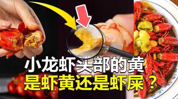 龙虾黄色的地方都是虾黄吗,小龙虾虾黄是哪个部位-第2张图片-厨房小当家 龙虾黄色的地方都是虾黄吗,小龙虾虾黄是哪个部位-第2张图片-厨房小当家
