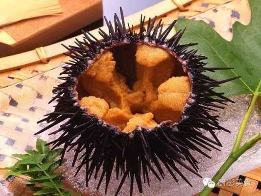 世界最好海胆排名,哪里的海胆好吃又便宜-第1张图片-厨房小当家