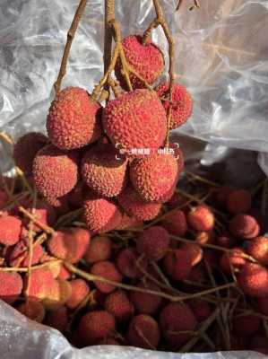 哪里有卖糯米糍(哪里有卖糯米糍荔枝)-第3张图片-厨房小当家 哪里有卖糯米糍(哪里有卖糯米糍荔枝)-第3张图片-厨房小当家