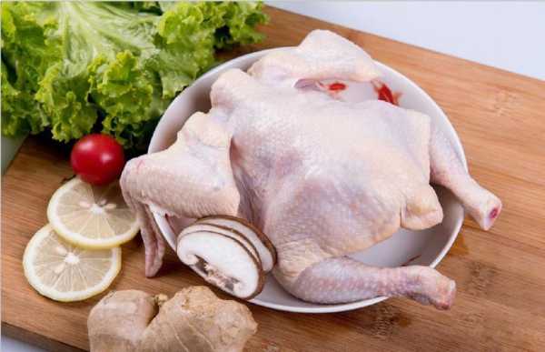 这个鸡怎么样(大用鸡肉质量怎样)-第2张图片-厨房小当家 这个鸡怎么样(大用鸡肉质量怎样)-第2张图片-厨房小当家