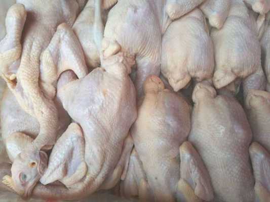 这个鸡怎么样(大用鸡肉质量怎样)-第3张图片-厨房小当家 这个鸡怎么样(大用鸡肉质量怎样)-第3张图片-厨房小当家
