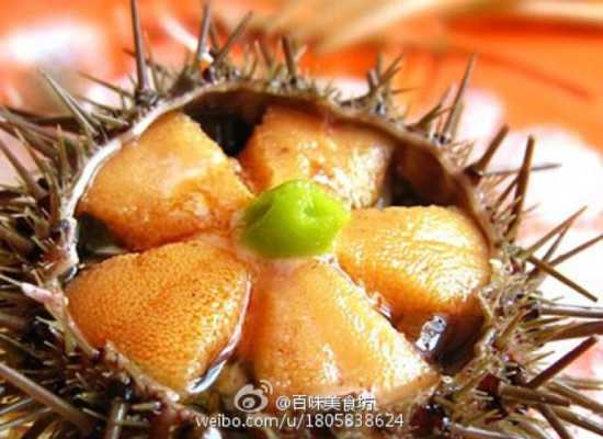 海胆哪里能吃(威海海胆哪里吃)-第1张图片-厨房小当家 海胆哪里能吃(威海海胆哪里吃)-第1张图片-厨房小当家