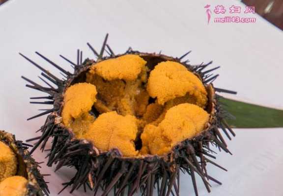 海胆哪里能吃(威海海胆哪里吃)-第3张图片-厨房小当家 海胆哪里能吃(威海海胆哪里吃)-第3张图片-厨房小当家