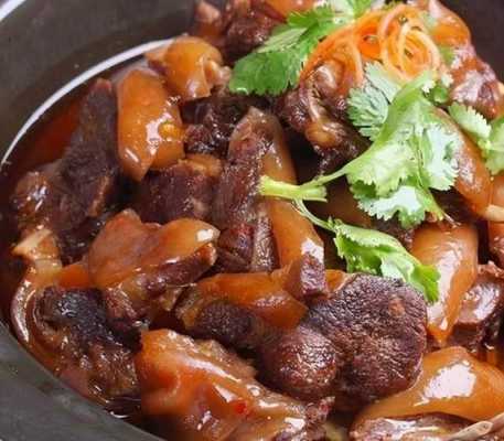 哪里狗肉最好吃(狗肉哪块好吃)-第1张图片-厨房小当家 哪里狗肉最好吃(狗肉哪块好吃)-第1张图片-厨房小当家
