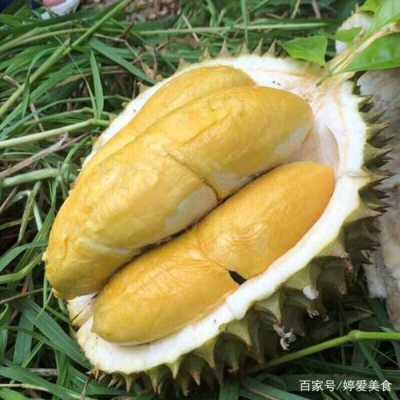 哪里榴莲最好吃(哪里榴莲最好吃最正宗)-第3张图片-厨房小当家 哪里榴莲最好吃(哪里榴莲最好吃最正宗)-第3张图片-厨房小当家