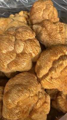 猴头哪里产的,猴菇在哪里买-第3张图片-厨房小当家 猴头哪里产的,猴菇在哪里买-第3张图片-厨房小当家