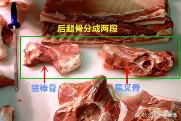 肉末是哪里肉(瘦肉是指什么,在猪的什么位置)-第3张图片-厨房小当家 肉末是哪里肉(瘦肉是指什么,在猪的什么位置)-第3张图片-厨房小当家