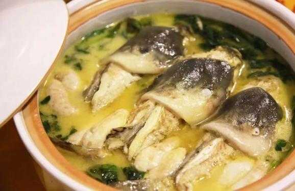 河豚哪里可以吃到(河豚什么时候好吃)-第2张图片-厨房小当家 河豚哪里可以吃到(河豚什么时候好吃)-第2张图片-厨房小当家