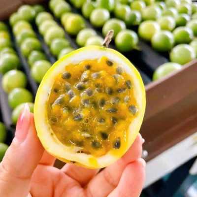 哪里百香果好吃（最甜百香果排名）-第2张图片-厨房小当家