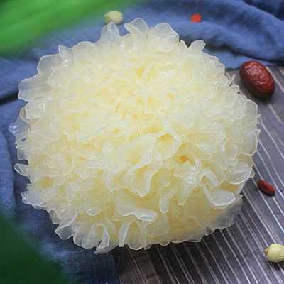哪里的的银耳最好(哪里的银耳最好)-第2张图片-厨房小当家 哪里的的银耳最好(哪里的银耳最好)-第2张图片-厨房小当家