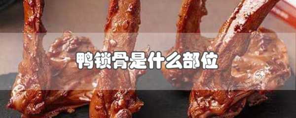 鸭锁骨是鸭子的哪个部位,鸭锁骨是哪里的肉-第1张图片-厨房小当家 鸭锁骨是鸭子的哪个部位,鸭锁骨是哪里的肉-第1张图片-厨房小当家