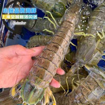 爬爬虾吃哪里(爬爬虾什么季节最好吃)-第2张图片-厨房小当家 爬爬虾吃哪里(爬爬虾什么季节最好吃)-第2张图片-厨房小当家